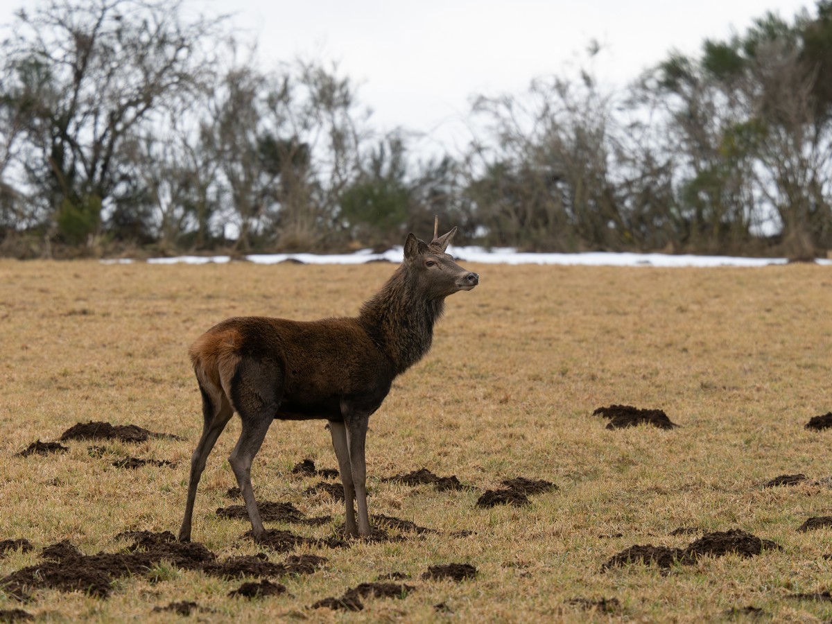 02022026-02 02 26 (2).jpg